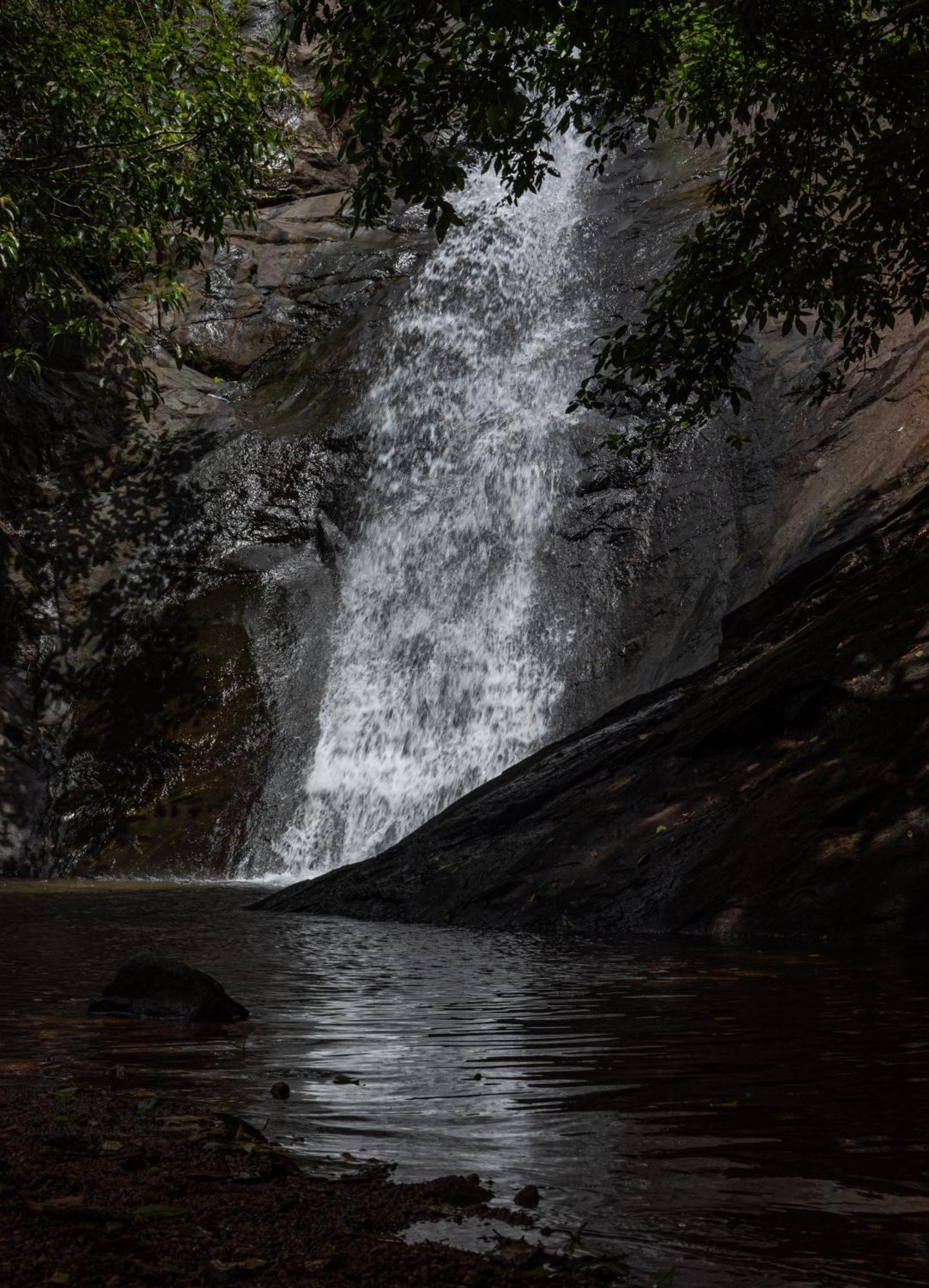 Aruvikuzhy Waterfalls Villa Kozhancheri Exterior foto