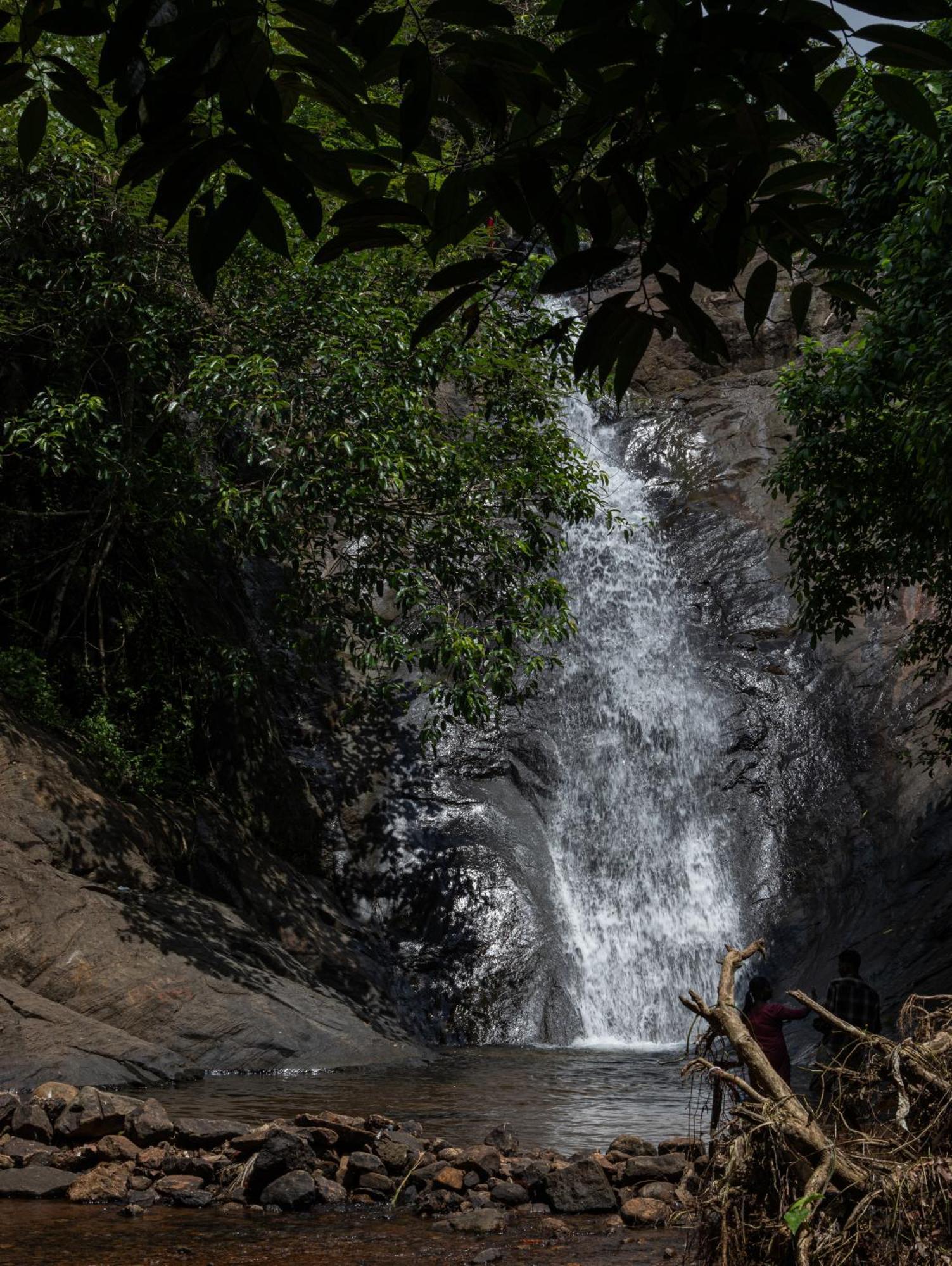 Aruvikuzhy Waterfalls Villa Kozhancheri Exterior foto